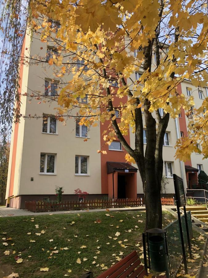 Ferienwohnung Apartament Krakowska Salzberg Exterior foto